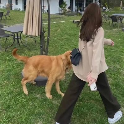 快乐嗨翻天 重庆站